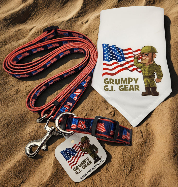 Patriotic Dog Collar, Leash and Bandana